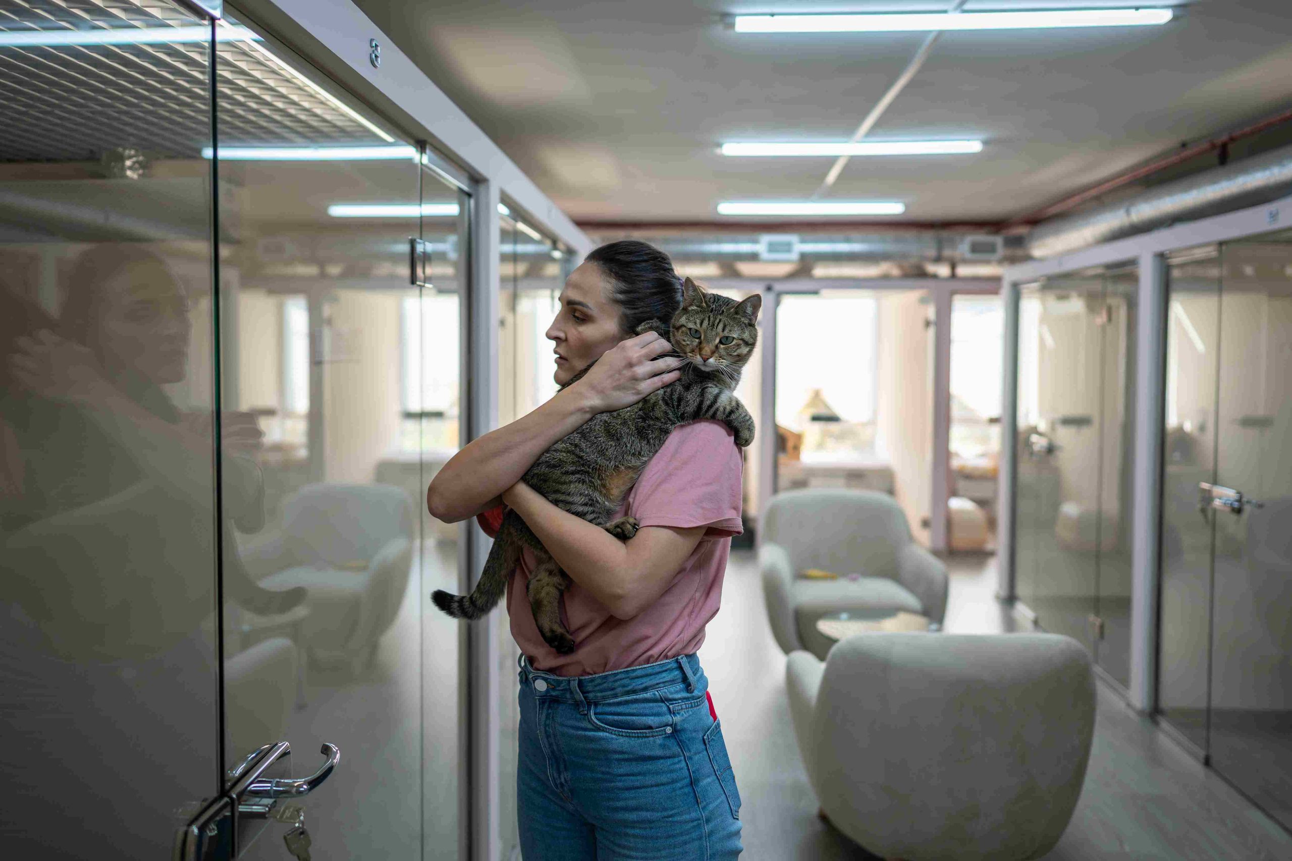 Cat Boarding in Dubai: Which Facilities Are Truly Worth Your Money? (2026 Guide)